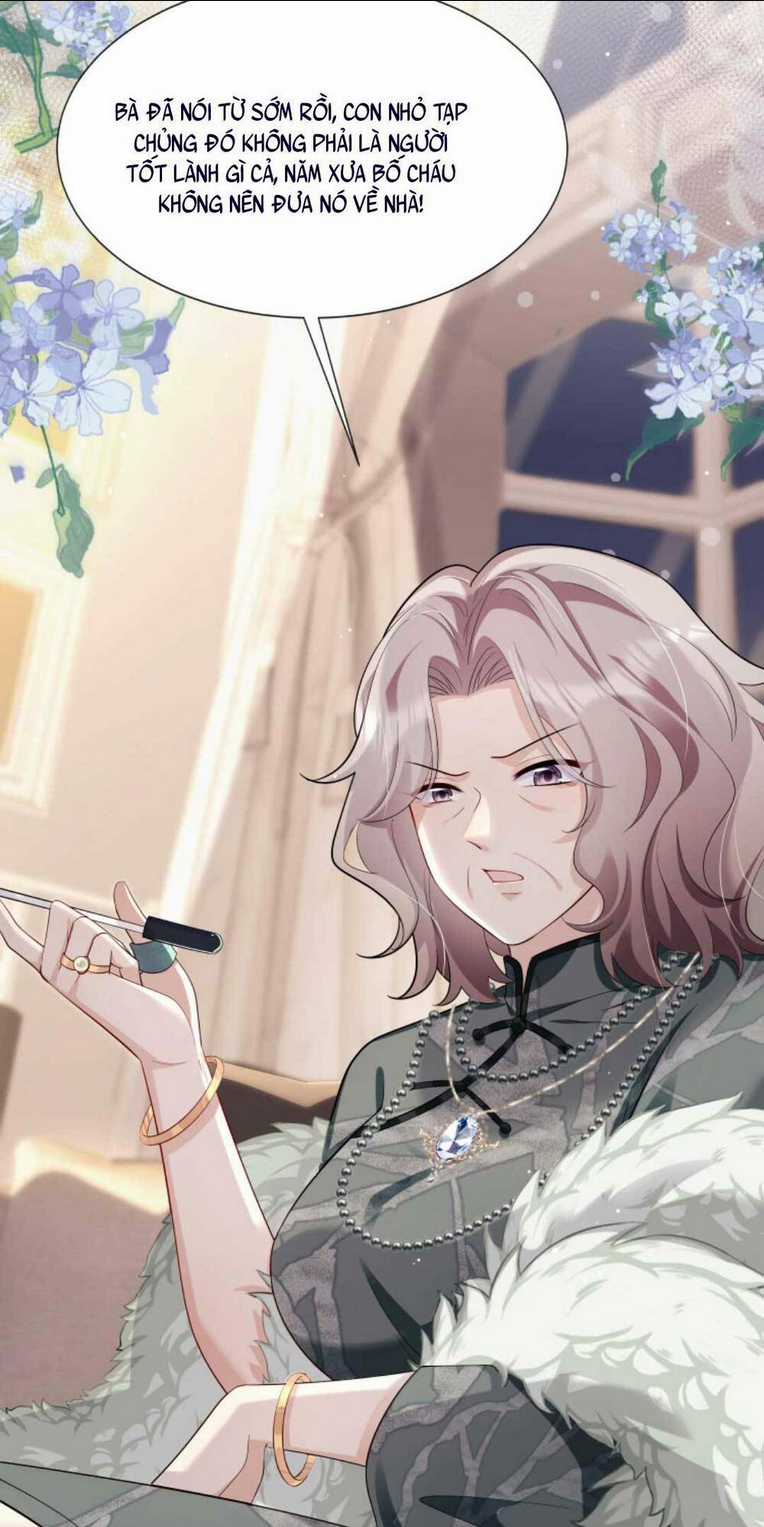 Tái Sinh Trở Lại : Chồng Cũ Khóc Lóc Cầu Xin Tái Hôn Chapter 6 trang 7