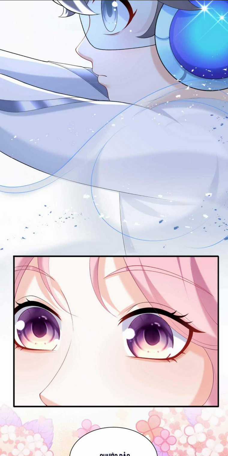 Tái Sinh Trở Lại : Chồng Cũ Khóc Lóc Cầu Xin Tái Hôn Chapter 61 trang 13