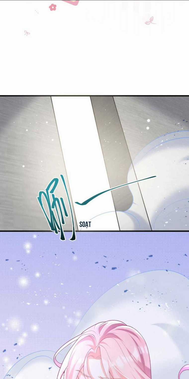 Tái Sinh Trở Lại : Chồng Cũ Khóc Lóc Cầu Xin Tái Hôn Chapter 61 trang 9