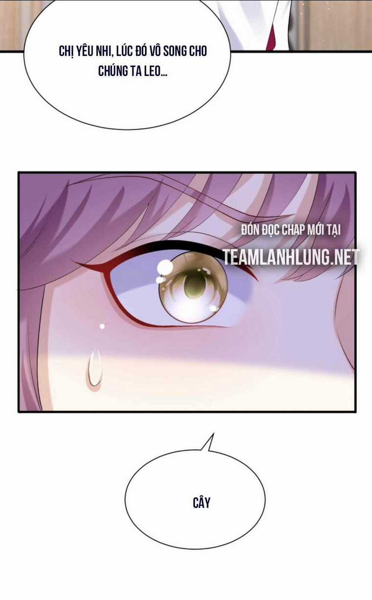 Tái Sinh Trở Lại : Chồng Cũ Khóc Lóc Cầu Xin Tái Hôn Chapter 63 trang 24