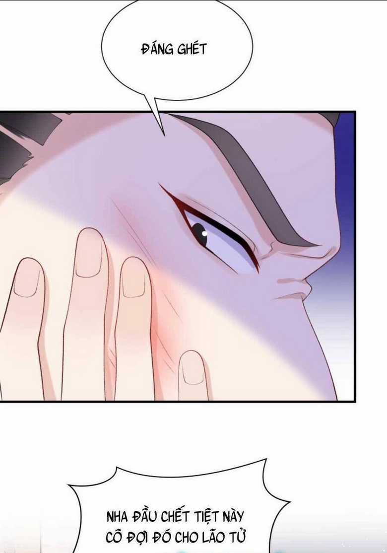 Tái Sinh Trở Lại : Chồng Cũ Khóc Lóc Cầu Xin Tái Hôn Chapter 67 trang 3