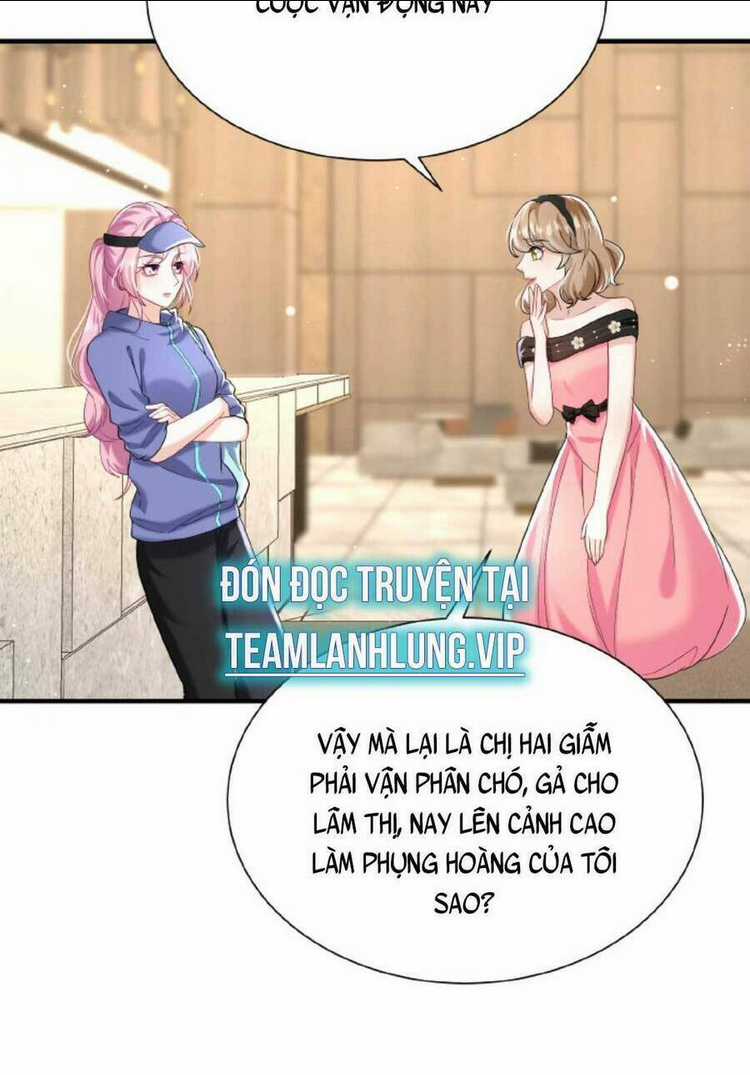 Tái Sinh Trở Lại : Chồng Cũ Khóc Lóc Cầu Xin Tái Hôn Chapter 71 trang 16