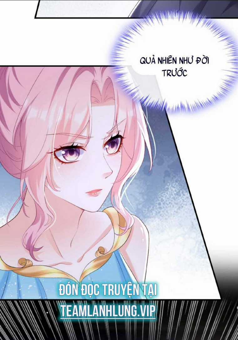 Tái Sinh Trở Lại : Chồng Cũ Khóc Lóc Cầu Xin Tái Hôn Chapter 73 trang 13