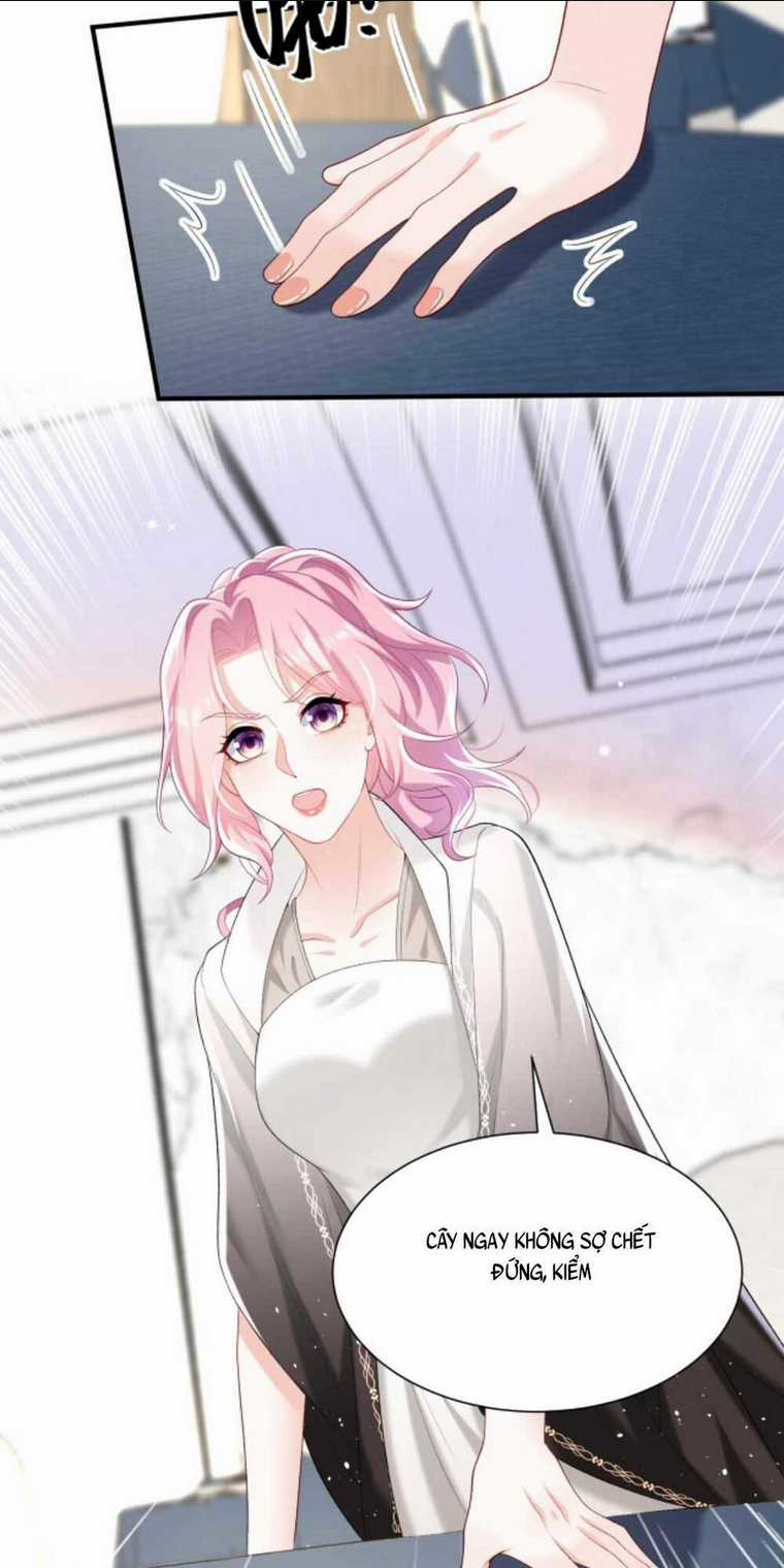 Tái Sinh Trở Lại : Chồng Cũ Khóc Lóc Cầu Xin Tái Hôn Chapter 81 trang 16