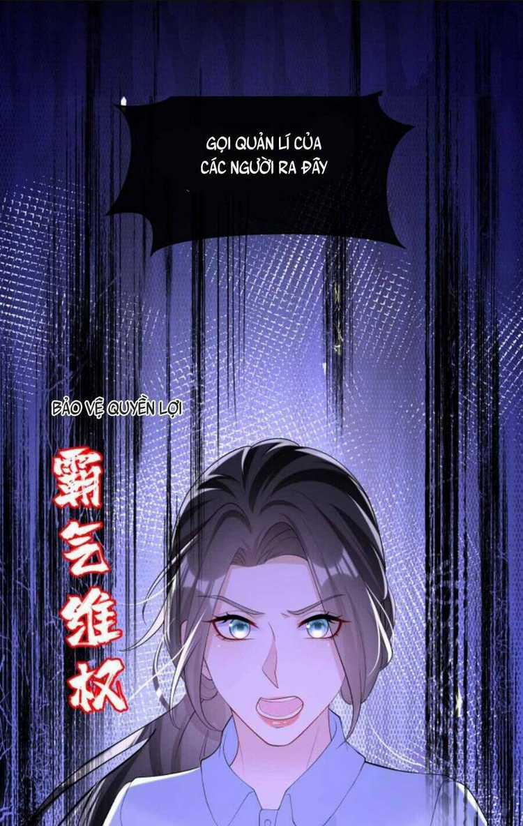 Tái Sinh Trở Lại : Chồng Cũ Khóc Lóc Cầu Xin Tái Hôn Chapter 84 trang 12
