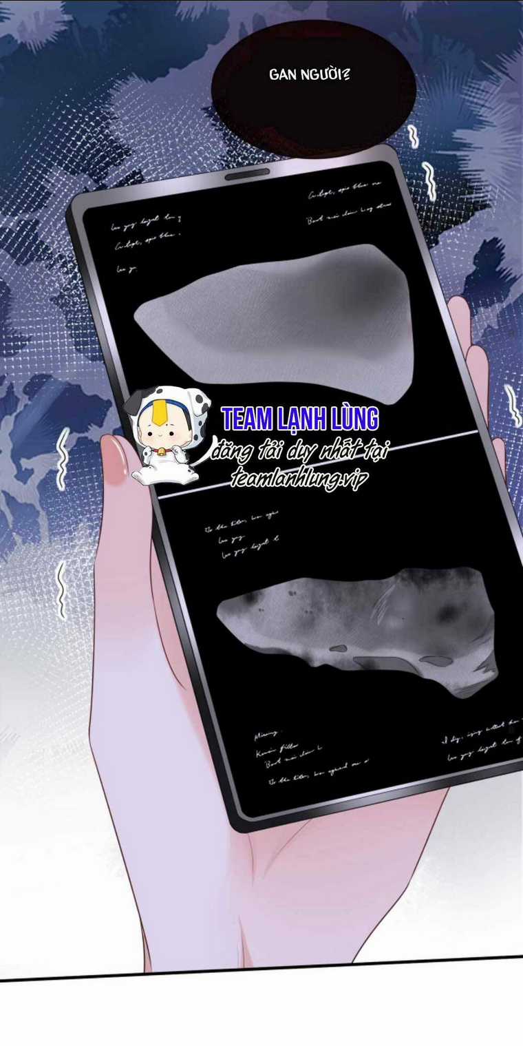 Tái Sinh Trở Lại : Chồng Cũ Khóc Lóc Cầu Xin Tái Hôn Chapter 88 trang 19