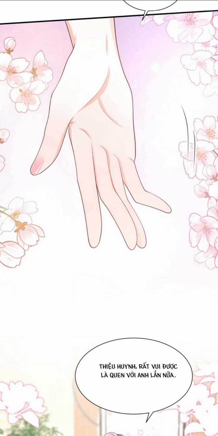 Tái Sinh Trở Lại : Chồng Cũ Khóc Lóc Cầu Xin Tái Hôn Chapter 90 trang 11