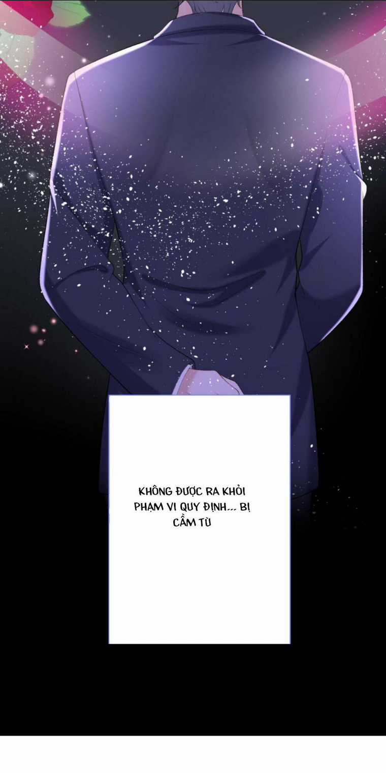 Tái Sinh Trở Lại : Chồng Cũ Khóc Lóc Cầu Xin Tái Hôn Chapter 91 trang 12