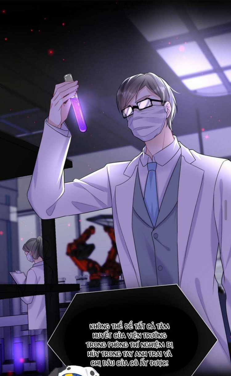 Tái Sinh Trở Lại : Chồng Cũ Khóc Lóc Cầu Xin Tái Hôn Chapter 97 trang 19