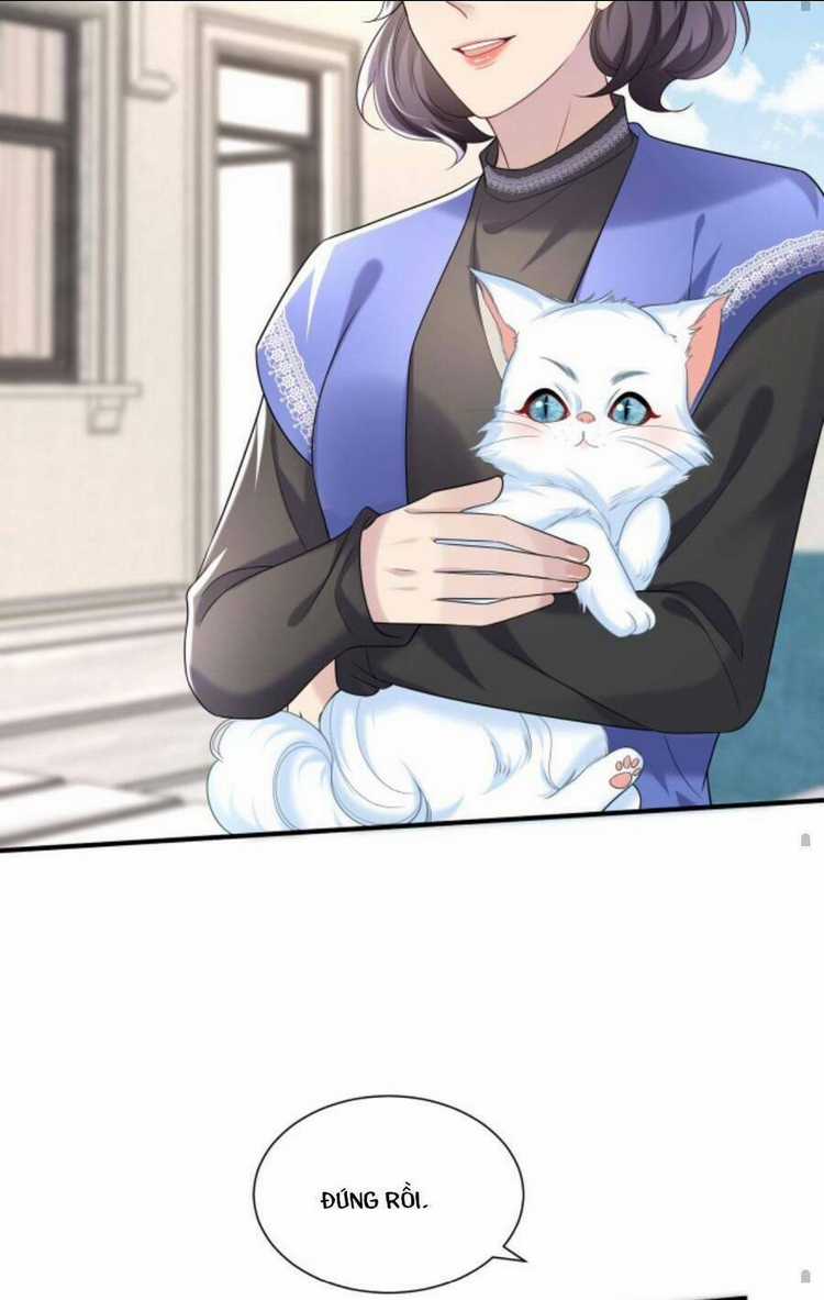 Tái Sinh Trở Lại : Chồng Cũ Khóc Lóc Cầu Xin Tái Hôn Chapter 97 trang 29