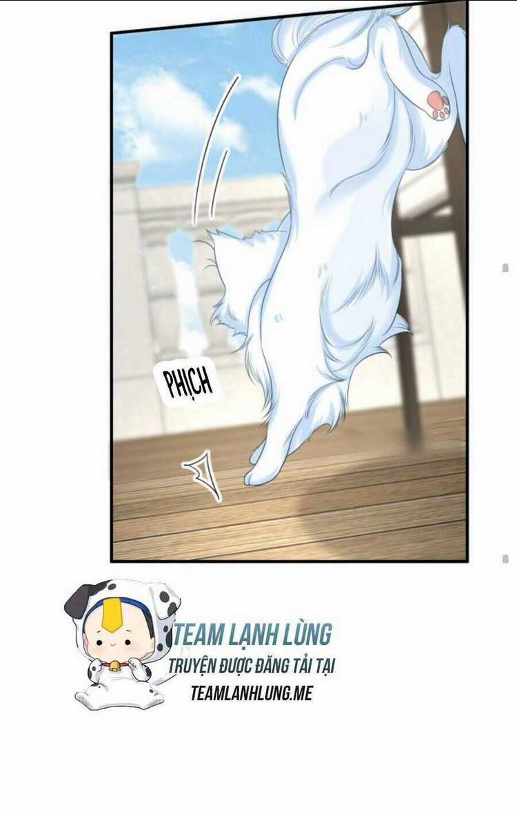 Tái Sinh Trở Lại : Chồng Cũ Khóc Lóc Cầu Xin Tái Hôn Chapter 97 trang 30