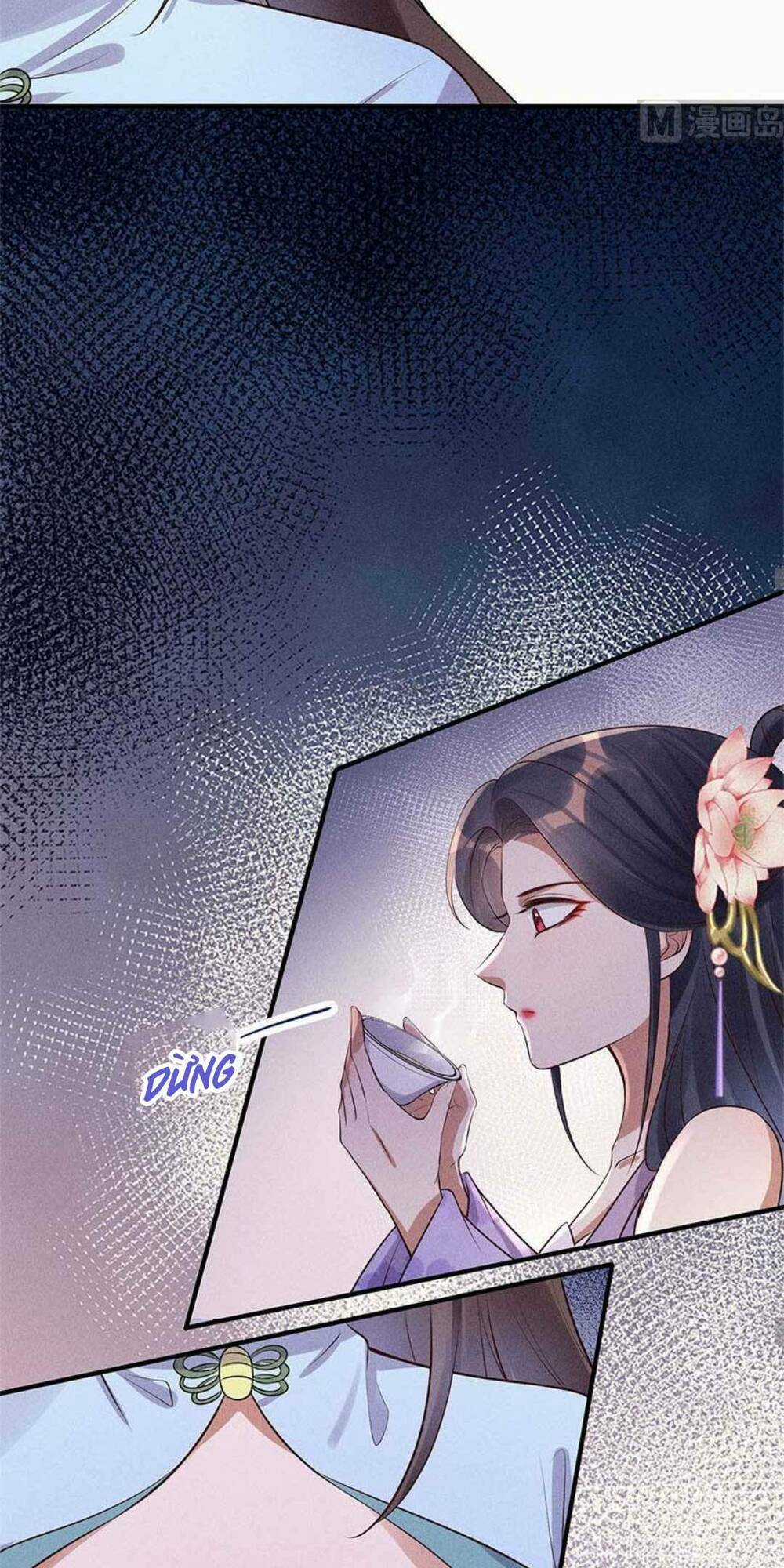 Tái Sinh Trở Lại : Ta Trở Thành Độc Y Thái Tử Phi Chapter 13 trang 19