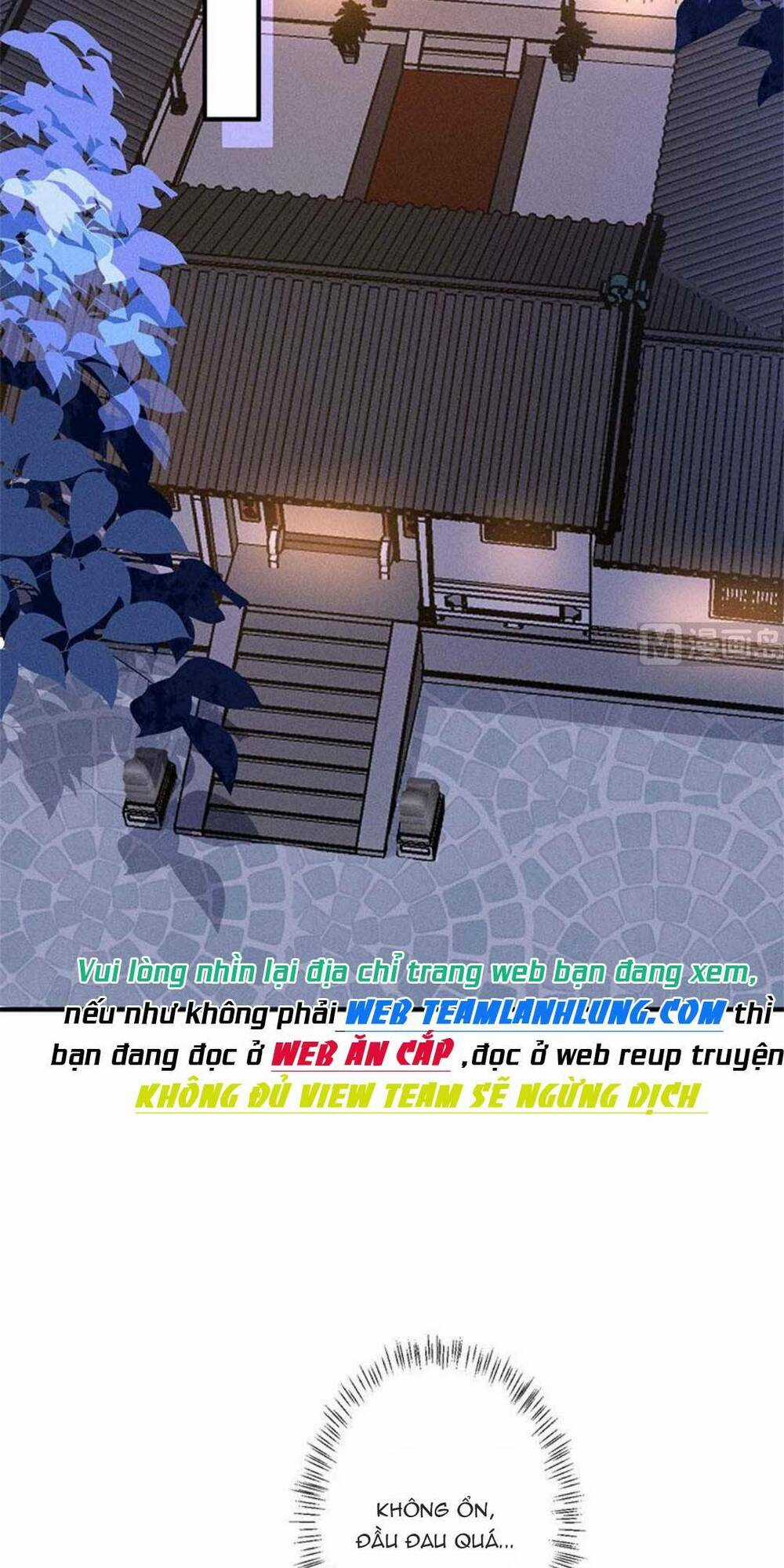 Tái Sinh Trở Lại : Ta Trở Thành Độc Y Thái Tử Phi Chapter 13 trang 2