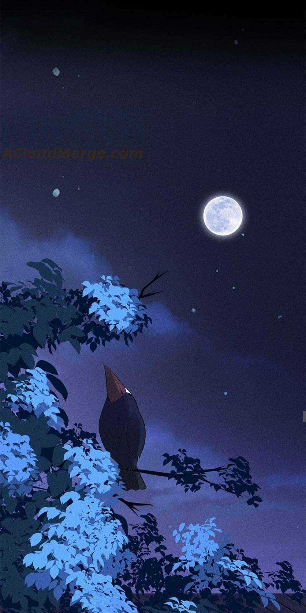 Tái Sinh Trở Lại : Ta Trở Thành Độc Y Thái Tử Phi Chapter 13 trang 22