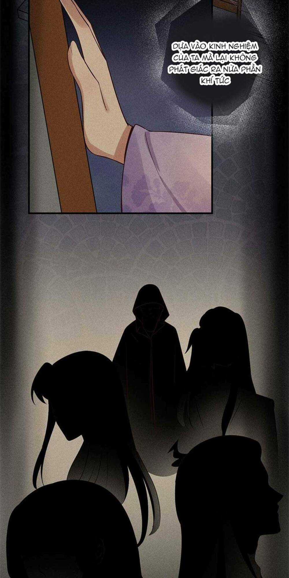 Tái Sinh Trở Lại : Ta Trở Thành Độc Y Thái Tử Phi Chapter 13 trang 5