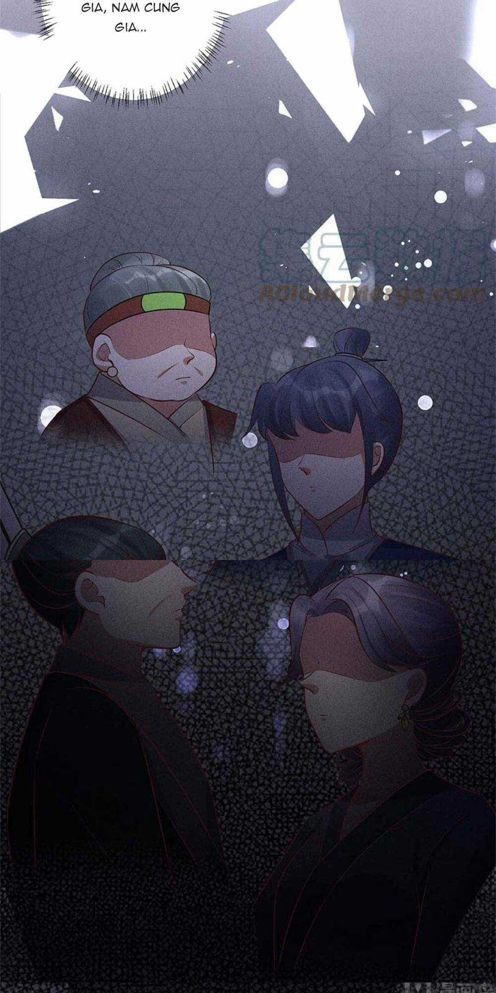 Tái Sinh Trở Lại : Ta Trở Thành Độc Y Thái Tử Phi Chapter 13 trang 53