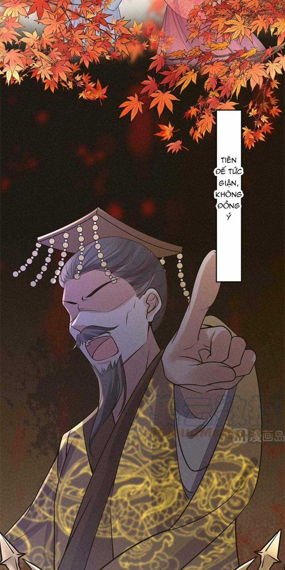 Tái Sinh Trở Lại : Ta Trở Thành Độc Y Thái Tử Phi Chapter 16 trang 10