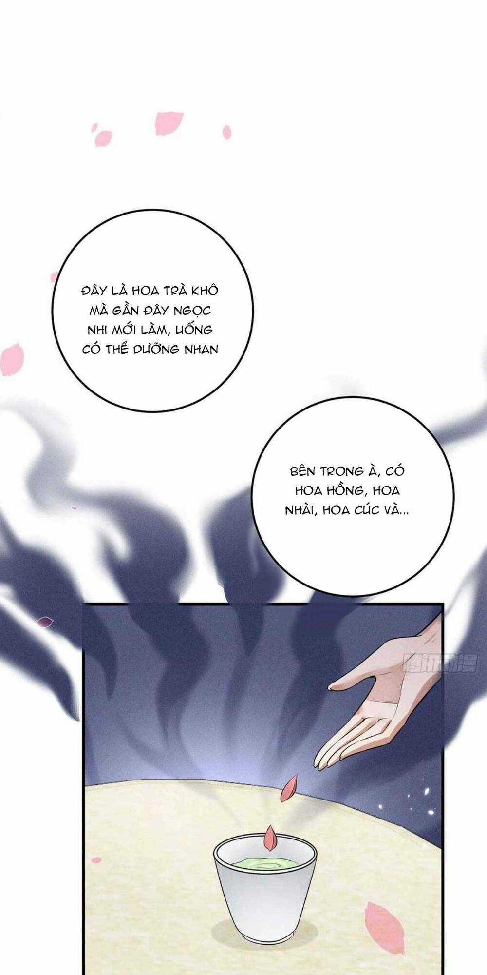 Tái Sinh Trở Lại : Ta Trở Thành Độc Y Thái Tử Phi Chapter 17 trang 55