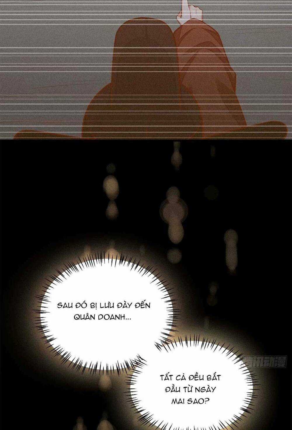 Tái Sinh Trở Lại : Ta Trở Thành Độc Y Thái Tử Phi Chapter 2 trang 25