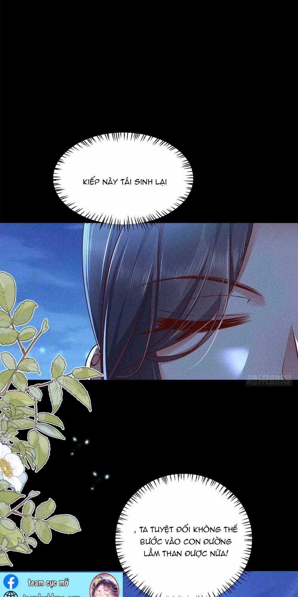 Tái Sinh Trở Lại : Ta Trở Thành Độc Y Thái Tử Phi Chapter 2 trang 27