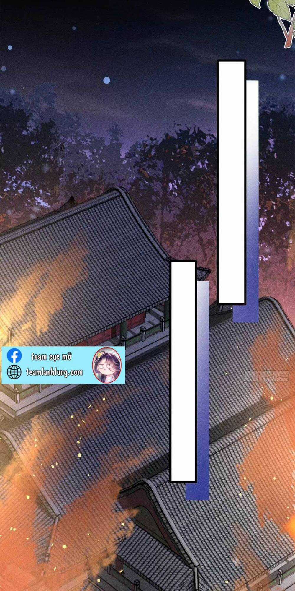 Tái Sinh Trở Lại : Ta Trở Thành Độc Y Thái Tử Phi Chapter 2 trang 29