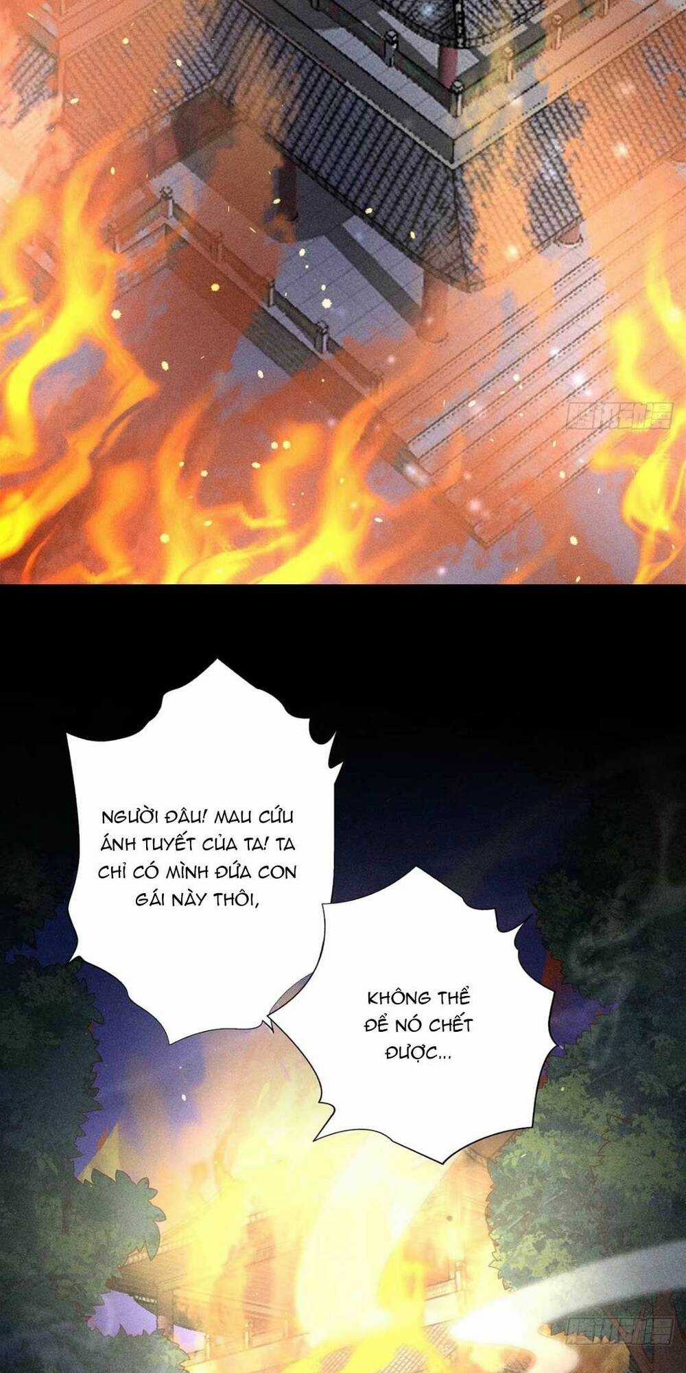 Tái Sinh Trở Lại : Ta Trở Thành Độc Y Thái Tử Phi Chapter 2 trang 30