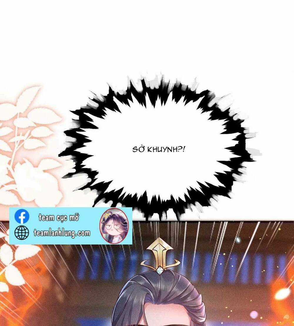 Tái Sinh Trở Lại : Ta Trở Thành Độc Y Thái Tử Phi Chapter 2 trang 51