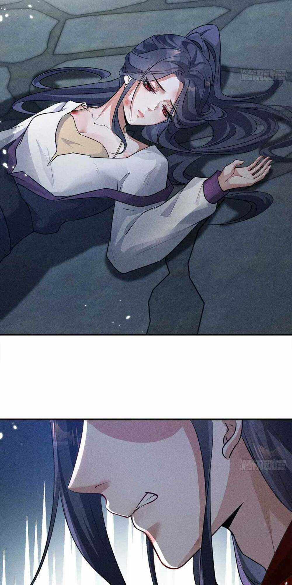 Tái Sinh Trở Lại : Ta Trở Thành Độc Y Thái Tử Phi Chapter 23 trang 12