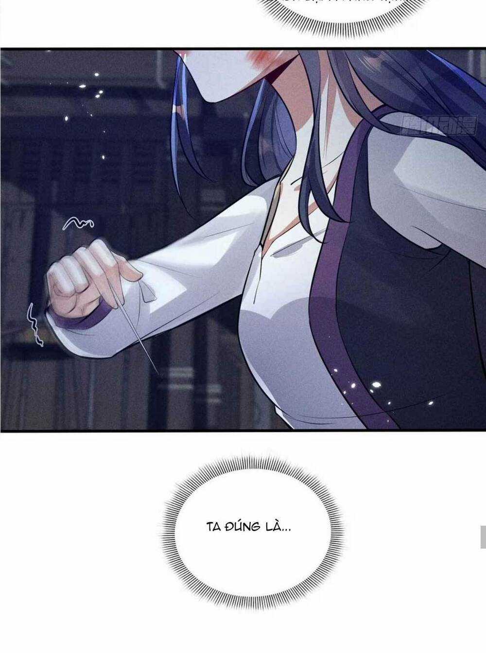 Tái Sinh Trở Lại : Ta Trở Thành Độc Y Thái Tử Phi Chapter 24 trang 32