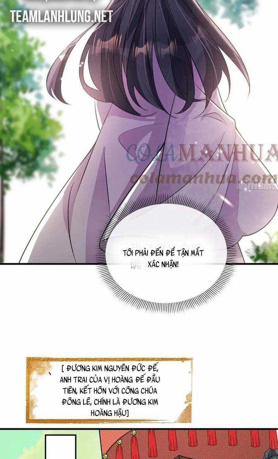 Tái Sinh Trở Lại : Ta Trở Thành Độc Y Thái Tử Phi Chapter 27 trang 13