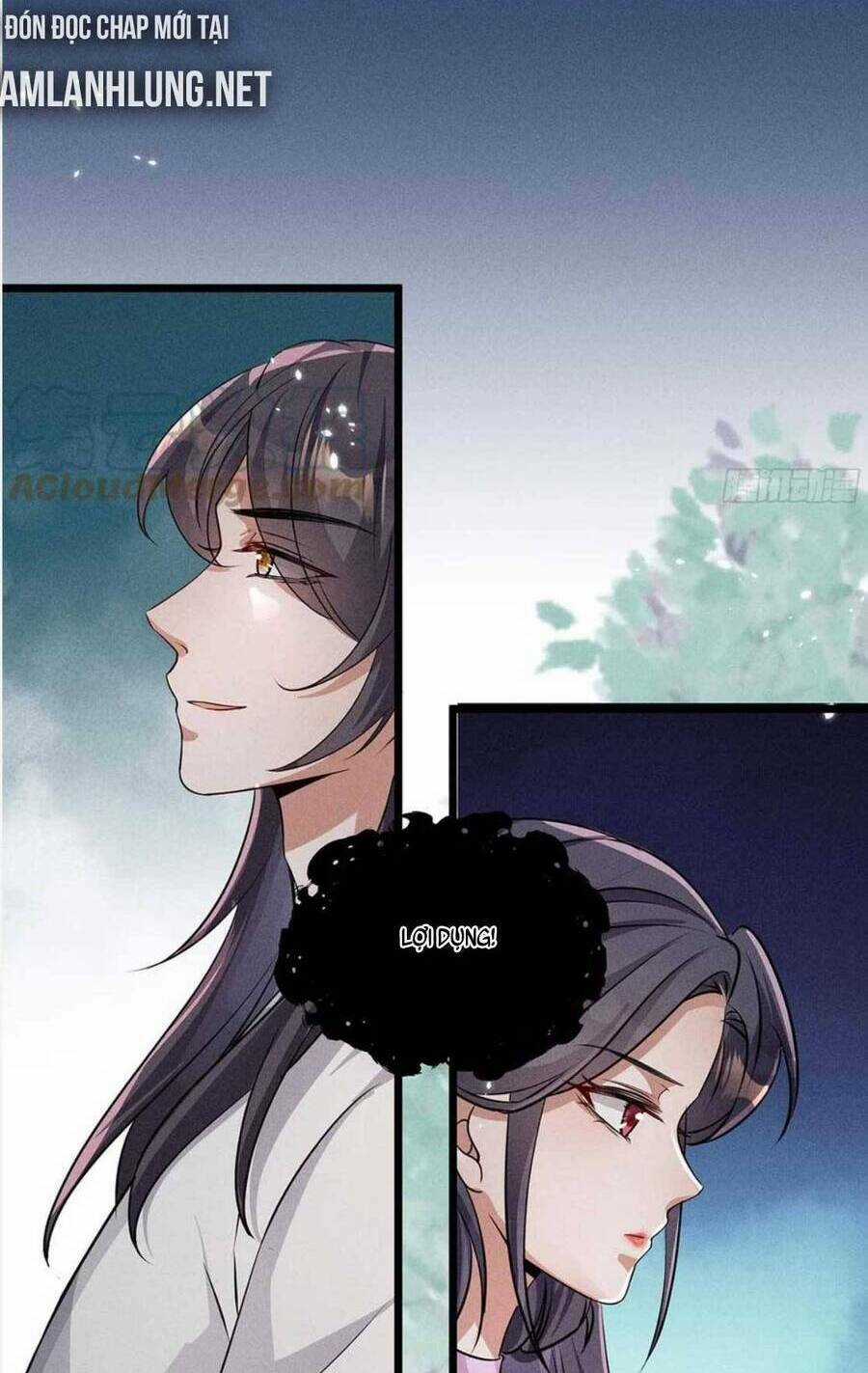 Tái Sinh Trở Lại : Ta Trở Thành Độc Y Thái Tử Phi Chapter 29 trang 13