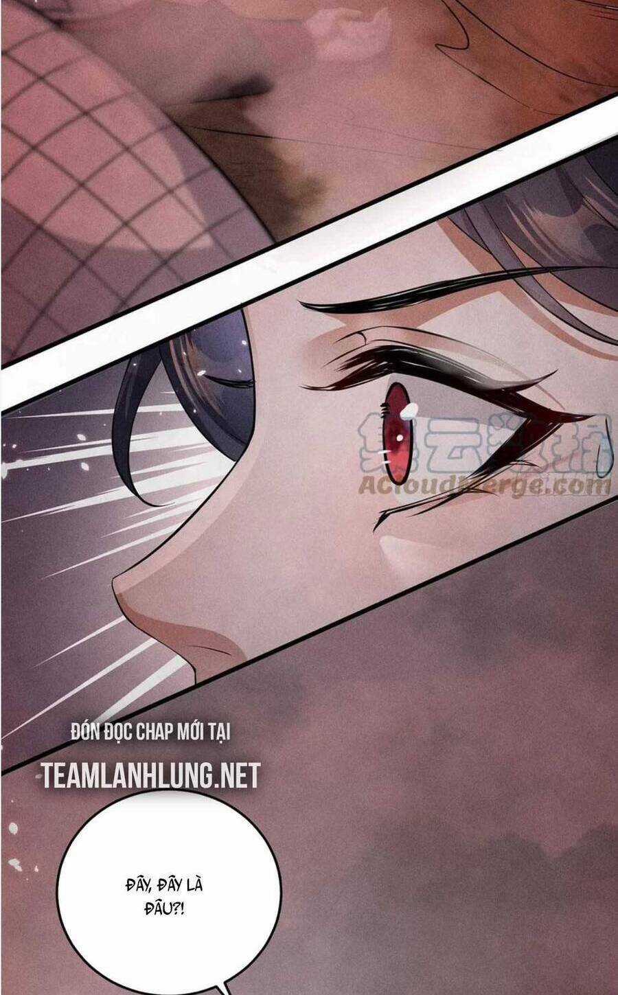 Tái Sinh Trở Lại : Ta Trở Thành Độc Y Thái Tử Phi Chapter 29 trang 23