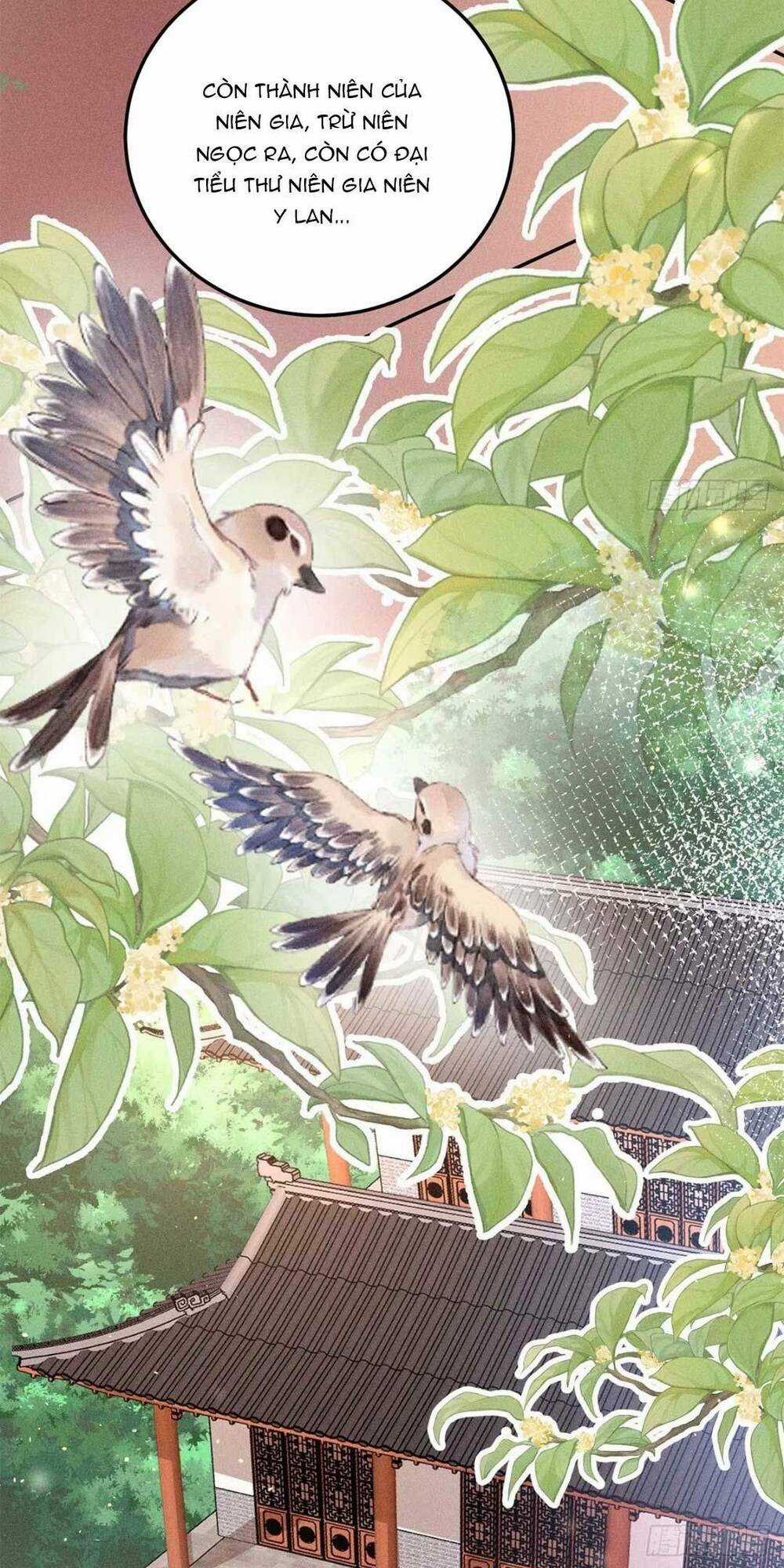 Tái Sinh Trở Lại : Ta Trở Thành Độc Y Thái Tử Phi Chapter 3 trang 19