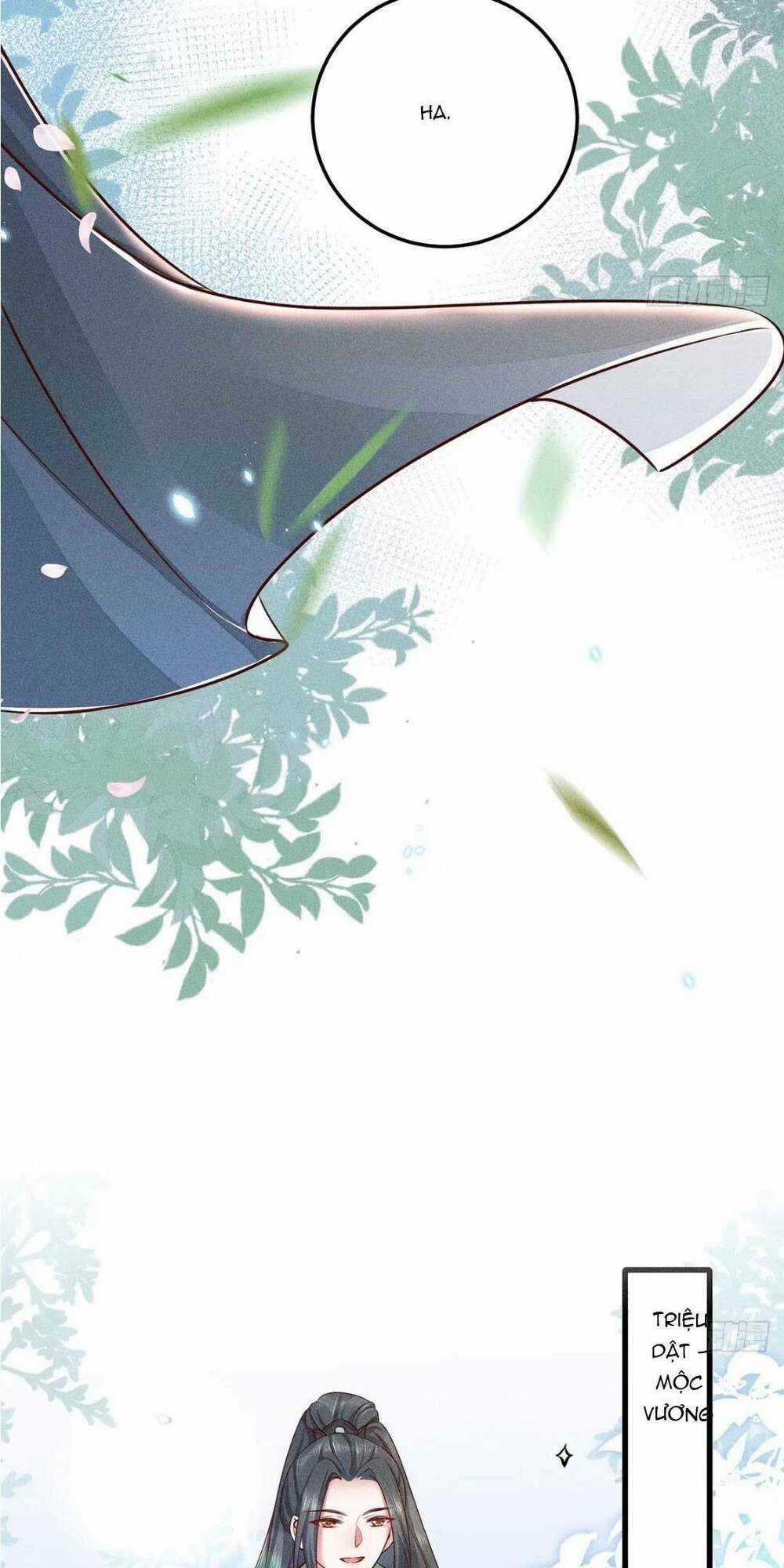 Tái Sinh Trở Lại : Ta Trở Thành Độc Y Thái Tử Phi Chapter 4 trang 11