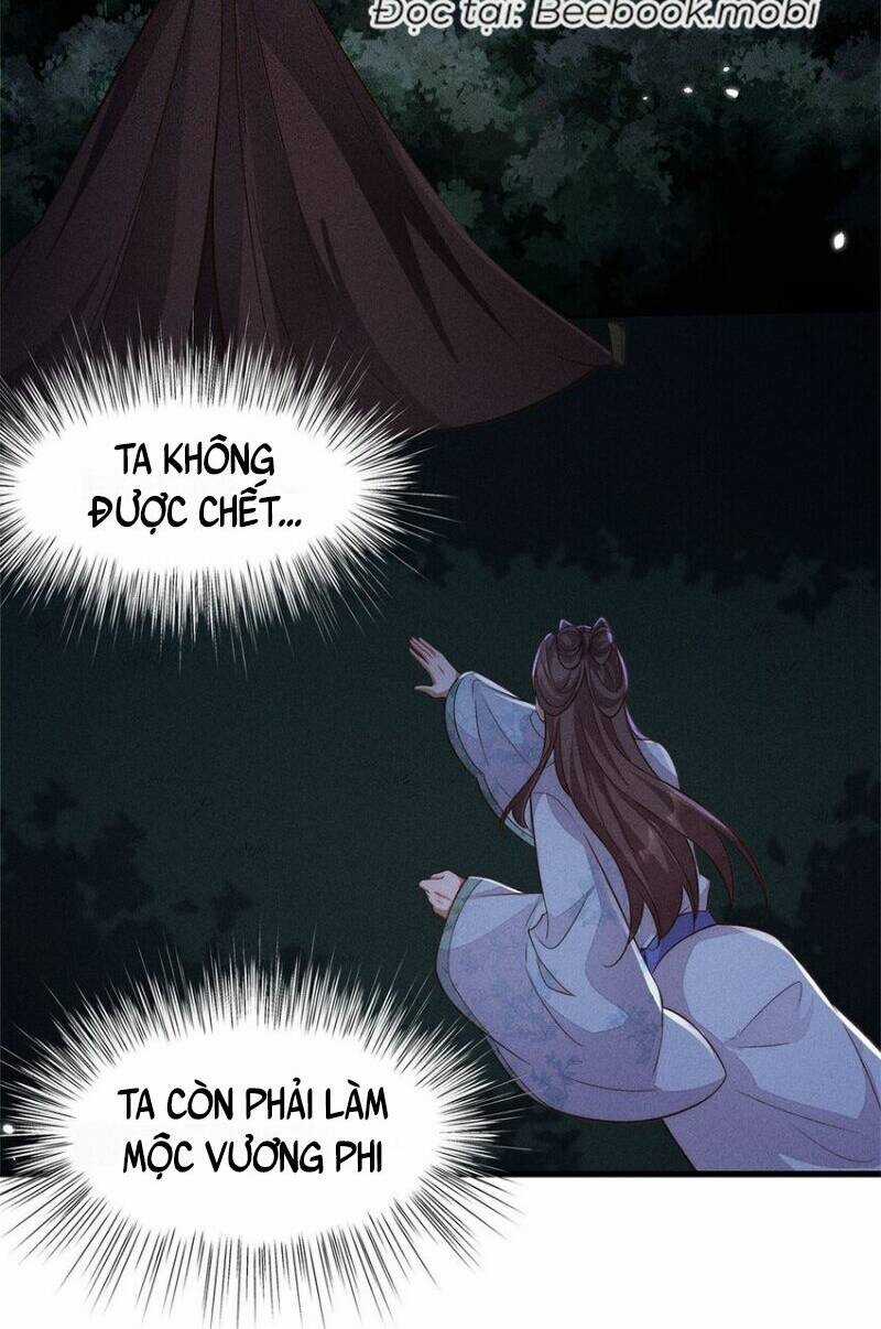 Tái Sinh Trở Lại : Ta Trở Thành Độc Y Thái Tử Phi Chapter 46 trang 21