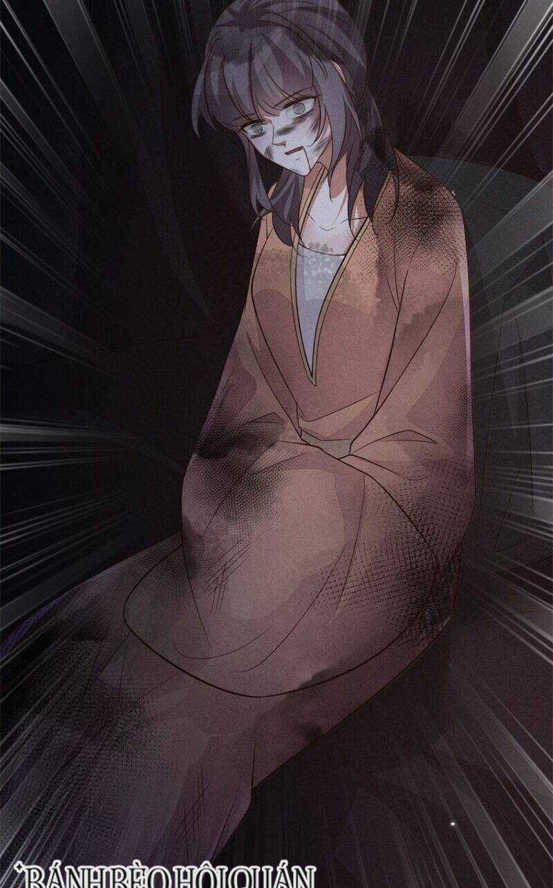 Tái Sinh Trở Lại : Ta Trở Thành Độc Y Thái Tử Phi Chapter 46 trang 24