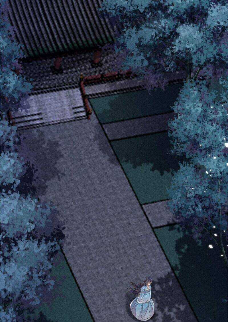 Tái Sinh Trở Lại : Ta Trở Thành Độc Y Thái Tử Phi Chapter 51 trang 29