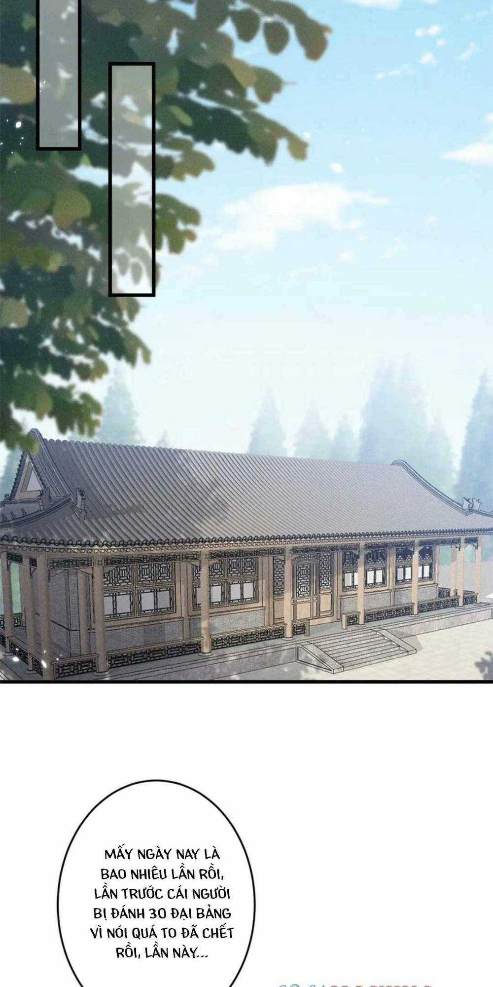 Tái Sinh Trở Lại : Ta Trở Thành Độc Y Thái Tử Phi Chapter 52 trang 15