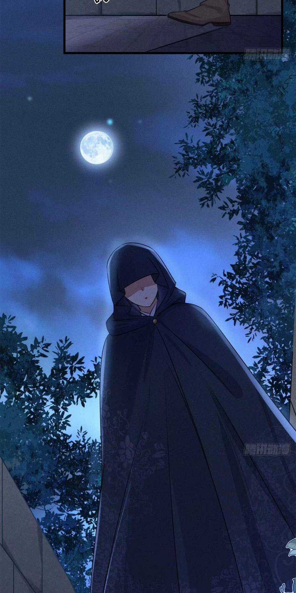 Tái Sinh Trở Lại : Ta Trở Thành Độc Y Thái Tử Phi Chapter 8 trang 3