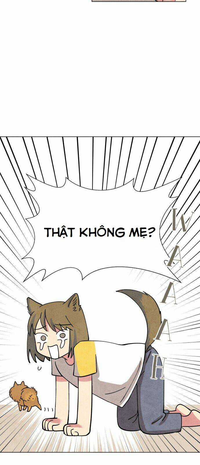 Tai Sói Và Mũ Đỏ Chapter 1 trang 52