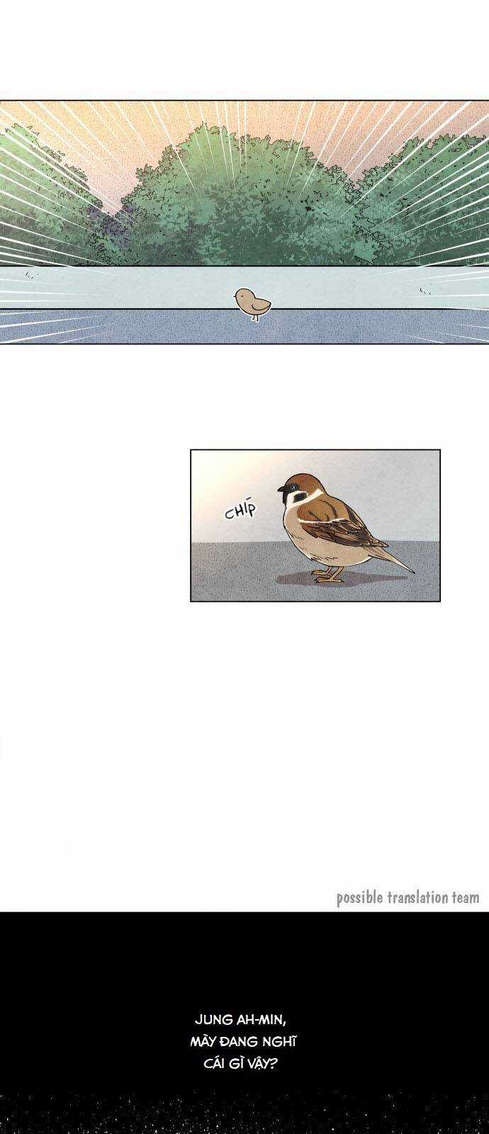 Tai Sói Và Mũ Đỏ Chapter 2 trang 34