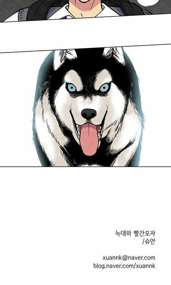 Tai Sói Và Mũ Đỏ Chapter 27 trang 53