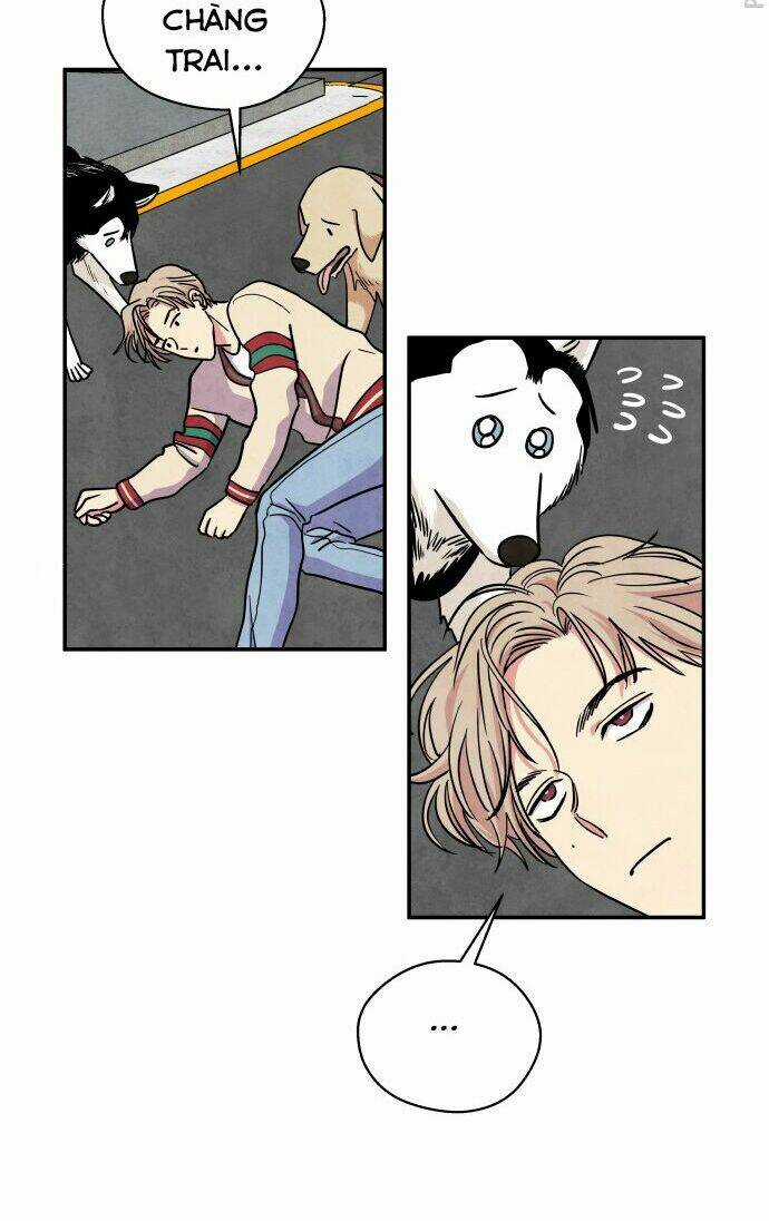 Tai Sói Và Mũ Đỏ Chapter 28 trang 20