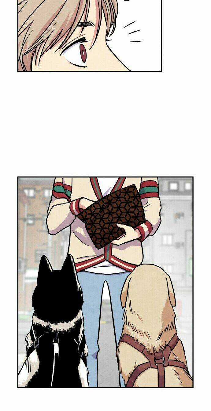 Tai Sói Và Mũ Đỏ Chapter 28 trang 33