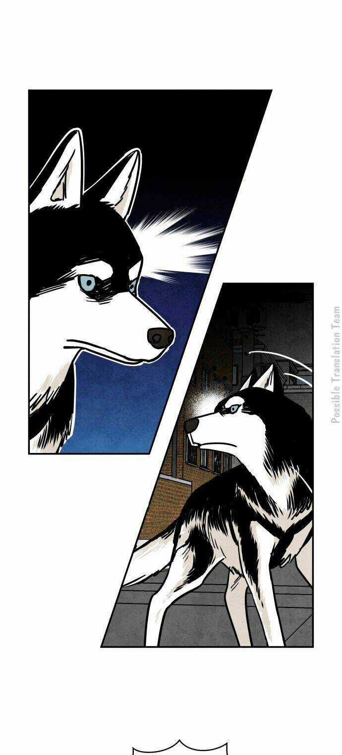 Tai Sói Và Mũ Đỏ Chapter 28 trang 36