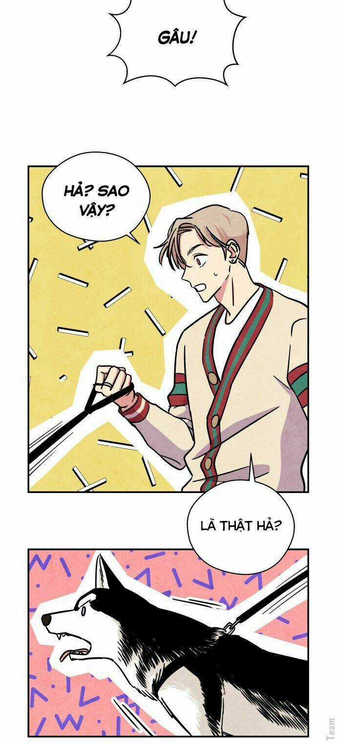 Tai Sói Và Mũ Đỏ Chapter 28 trang 37