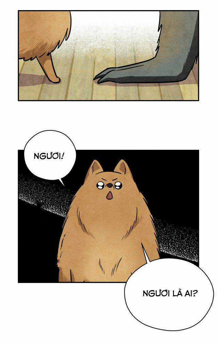 Tai Sói Và Mũ Đỏ Chapter 31 trang 17