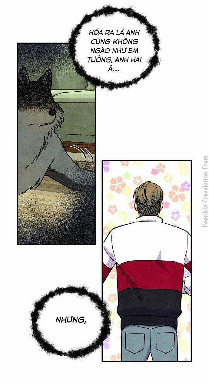 Tai Sói Và Mũ Đỏ Chapter 32 trang 12
