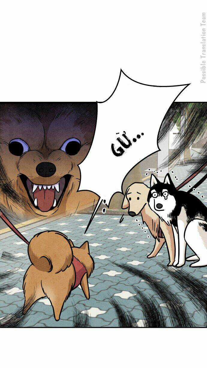 Tai Sói Và Mũ Đỏ Chapter 33 trang 32