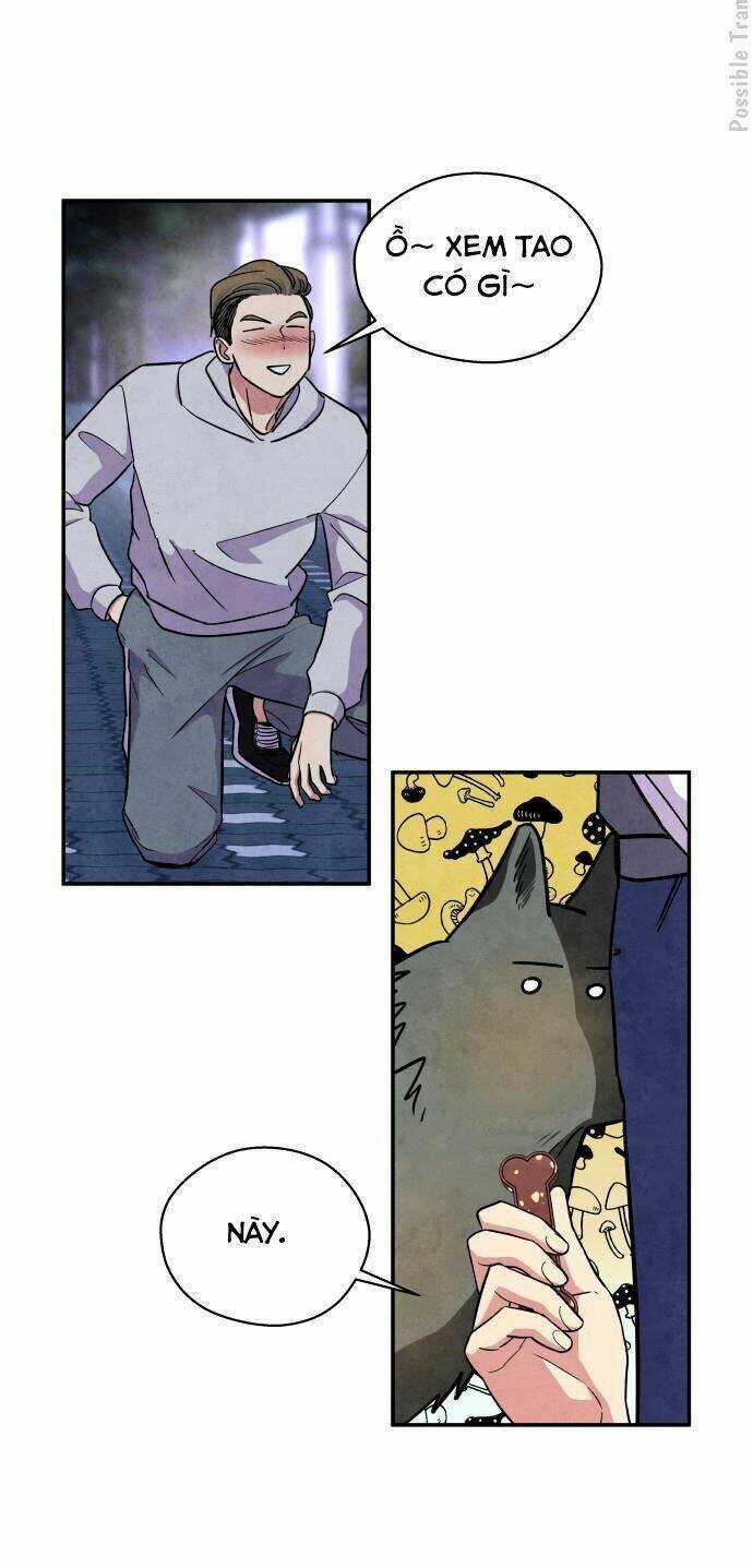 Tai Sói Và Mũ Đỏ Chapter 38 trang 13